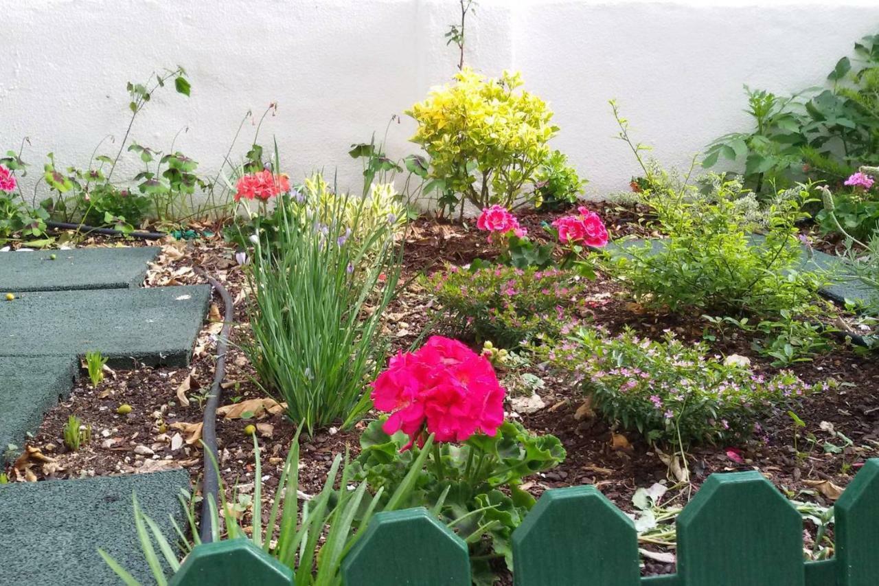 Sunny orange garden apartment in central Lissabon Buitenkant foto