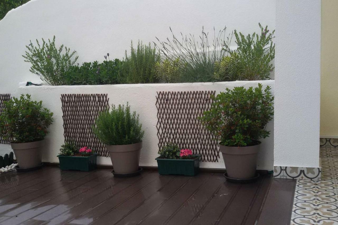 Sunny orange garden apartment in central Lissabon Buitenkant foto