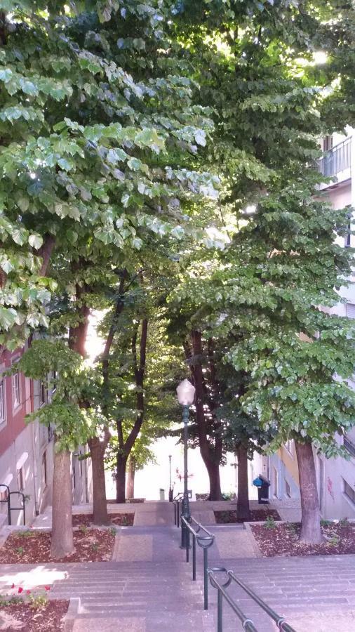 Sunny orange garden apartment in central Lissabon Buitenkant foto