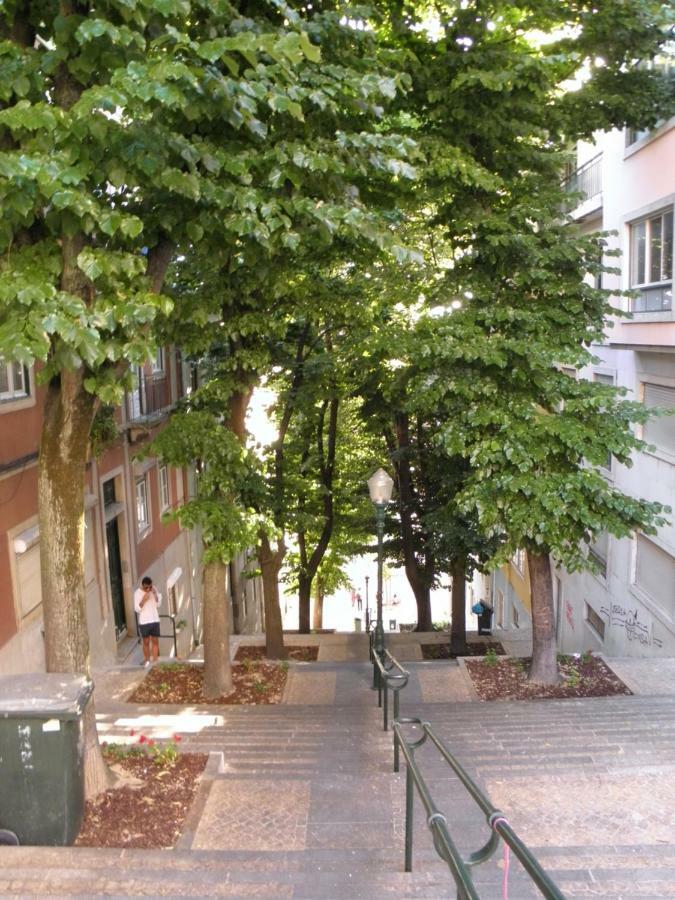 Sunny orange garden apartment in central Lissabon Buitenkant foto
